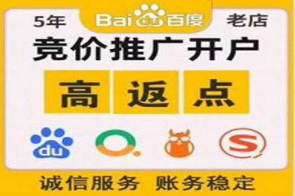 百度广告推广助力电商行业案例分析